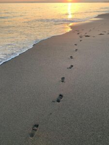 sea, beach, ocean, healing, earth, yellow, gentle, gold, comfort, sun, sky, baby, japan, mother, universe, reflection, color, sunrise, sunset, chill out, grounding, footprint, joy, sound, light, gray earth, gray sun, nature, gray sunset, gray sunrise, gray universe, healing, healing, healing, healing, healing