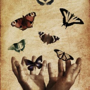 butterflies, hands, butterfly, nature, insect, summer, spring, design, fly, decorative, love, freedom, animal, wings, people, colorful, insects, release, flying, bugs, brown love, brown spring, brown butterfly, brown summer, brown design, release, release, release, release, release